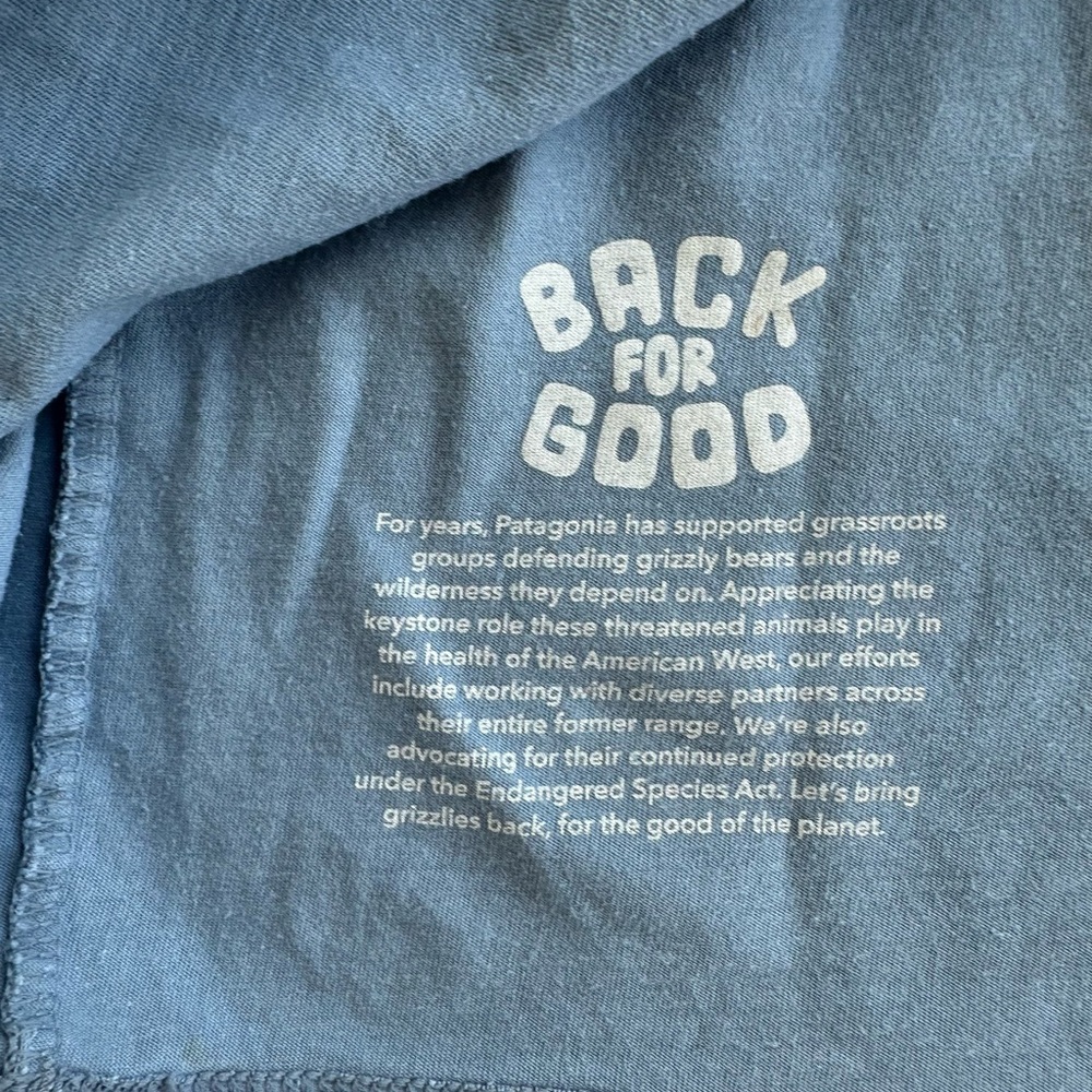 Patagonia Crewneck T-Shirt in Faded Blue - Picture 8 of 10